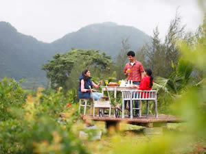 Organic Holidays - Harvest Fresh Farms, Cumbum Valley, Thekkady. 
