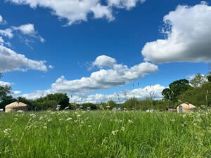 Organic Holidays - Helen Browning�s Yurts, Botswicky Copse, Nr Bishopstone. SN6 8PA