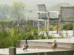 Organic Holidays - Moorhen Cottage, Court Lodge Farm, Wartling. BN27 1RY