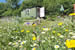Organic Holidays - East Penrest Shepherd's Hut, East Penrest Farm, Lezant. PL15 9NR