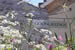 Organic Holidays - Goongillings Farm Cottages, Constantine, Falmouth. TR11 5RP