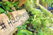 Organic Holidays - Holiday Nests, Coed Llys Mill, Login. SA34 0TH