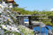 Organic Holidays - Rosy's Little Village, Skliri Skala, 18010 Agistri Attika. 