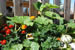 Organic Holidays - Trnulja Organic Country Estate, Crna vas 265, 1000 Ljubljana. 
